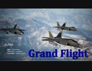 Ace Combat 7 Multiplayer569 チームデスマッチ F-22A + 8AAM