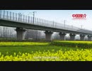 China Recommendation--Nanzheng
