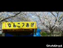 フォトトラック　桜之宮公園
