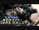 【２人実況】理不尽マゾゲーDARK SOULS【#5】