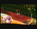 【MKW】マリオカートWii メイプルツリーハウス エビフライバグ【MKWii】