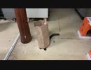 袋をかぶってみた