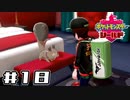 【実況】絶対チャンピオンになってやる！ Part18【ポケットモンスター シールド】