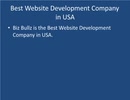 Biz Bullz Technologies