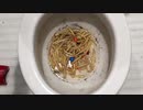 M&M'sとマクドナルドのフライドポテトをトイレに流してみた２