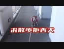 洋服が嫌でお散歩を拒否していた柴犬…なんとか散歩に連れ出した結果？！【癒し】
