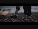 【PV】InMe - For Something To Happen