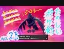 【ポケ剣】㉓やっちゃったビートくんもかわいいよ【女性実況】