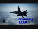 Ace Combat 7 Multiplayer572 バトルロイヤル F-14D + 8AAM