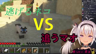 【魔使マオ】逃げるネコ、追うマオ。【Minecraft】