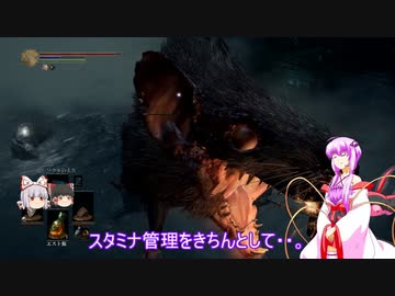素直で温厚なゆかりさんのダークソウル３　PRT１2