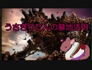 うさぎりたんの墓地活用【part5】