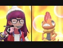 【ポケモン剣盾】ギロチン和尚のガラル行脚〜其の弍【役割論理】