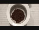 ココア味のシリアルをトイレに流してみた２