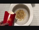 マクドナルドのフライドポテトをトイレに流してみた４