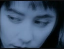 Suzanne Vega - Luka [歌詞.和訳.解説]