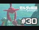 【実況】リンクのハイラル道中膝栗毛 part30【ゼルダの伝説BotW】