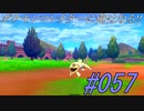 ポケモンコレクターに俺はなる‼#057