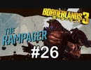 【BORDERLANDS3】年明けランページ ボーダーランズ初見実況 Vault26