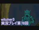 探し人を求めてwitcher3実況プレイ第78回