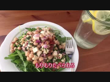 【ねことドイチ】細マッチョ応援オリエンターリッシャーザラート・ミット・キヒャーエルブセン