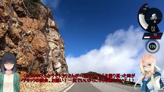 【ロードバイク車載】京桜自転車月報！～GOHANさん、サモトラケさんといっしょ 乗鞍10月編～【京町セイカ・桜乃ソラ実況】