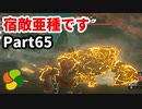 【実況】今年で定年を迎える父をハイラルの大地に放り込むPart65【ゼルダの伝説BotW】