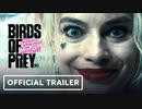 ハーレイ・クインの華麗なる覚醒 BIRDS OF PREY　第２弾予告編