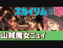 ニュイ伝説の神ゲースカイリムで開始早々懸賞金をかけられる
