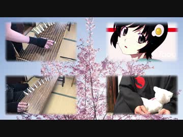 【アニソンと和楽器】偽物語OP「白金ディスコ」を箏と十七絃+αで踏み出して