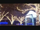 公園イルミリベンジ放送 2019.12.21