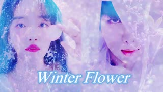 人気の Younha 動画 26本 ニコニコ動画