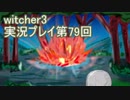 探し人を求めてwitcher3実況プレイ第79回