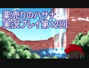 絶対弟を助けるぞ！　薬売りのハサナ実況プレイ第12回