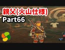 【実況】今年で定年を迎える父をハイラルの大地に放り込むPart66【ゼルダの伝説BotW】