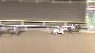 2020年1月9日船橋競馬11R チバテレ盃（報知グランプリカッップＴＲ）(準重賞) ベンテンコゾウ