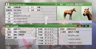 初年度緑札で購入できるマルブツセカイオーで賞金カンストを目指す！チャレンジ2回目　#3