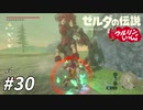 【実況】ウルリンといっしょ＃30｢ウルリンに手を上げるものは許さん｣【BotW】