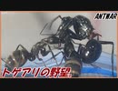 敵のアリの巣を乗っ取りたいトゲアリ～ならず者の野望～【後編】