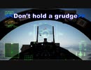 Ace Combat 7 Multiplayer578 バトルロイヤル F-15C + PLSL