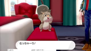 軽い縛りと初見でポケットモンスターソード＆シールド【盾編】part48。