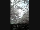 冬のうた