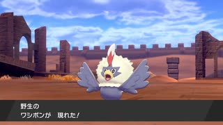 軽い縛りと初見でポケットモンスターソード＆シールド【剣編】part35。