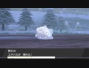 軽い縛りと初見でポケットモンスターソード＆シールド【剣編】part40。