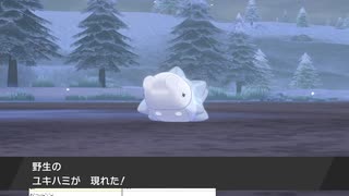 軽い縛りと初見でポケットモンスターソード＆シールド【剣編】part40。