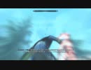 スカイリムやったときの73