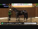 【リアルダビスタ】繁殖牝馬セールのシュシュブリーズ