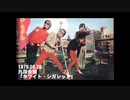 【P-MODEL】ホワイト・シガレット (LIVE 1979)