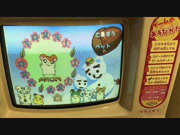 【メダルゲーム】―とっとこハム太郎　ひまわりルーレット―【最高配当５００枚！？】