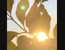 無条件の波動111